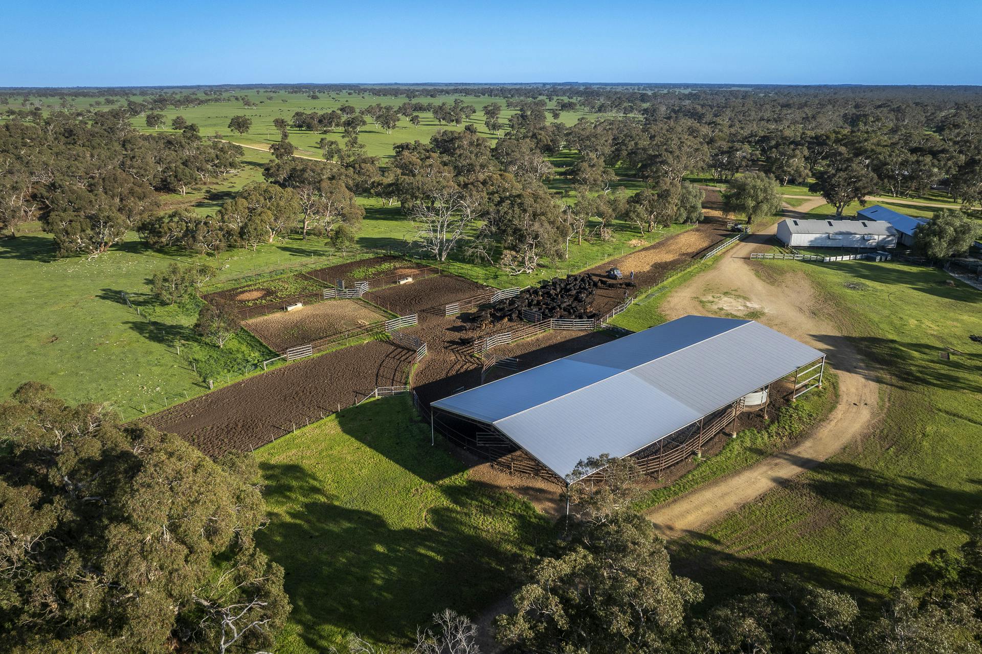 325 Maranoa Downs Road, Stewart Range, SA, 5271