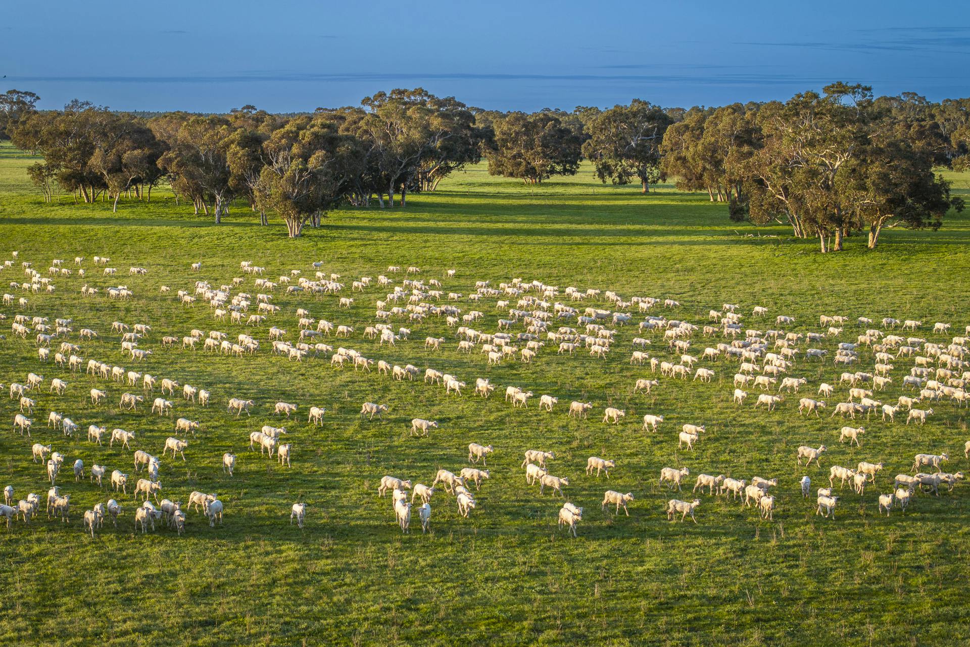 325 Maranoa Downs Road, Stewart Range, SA, 5271