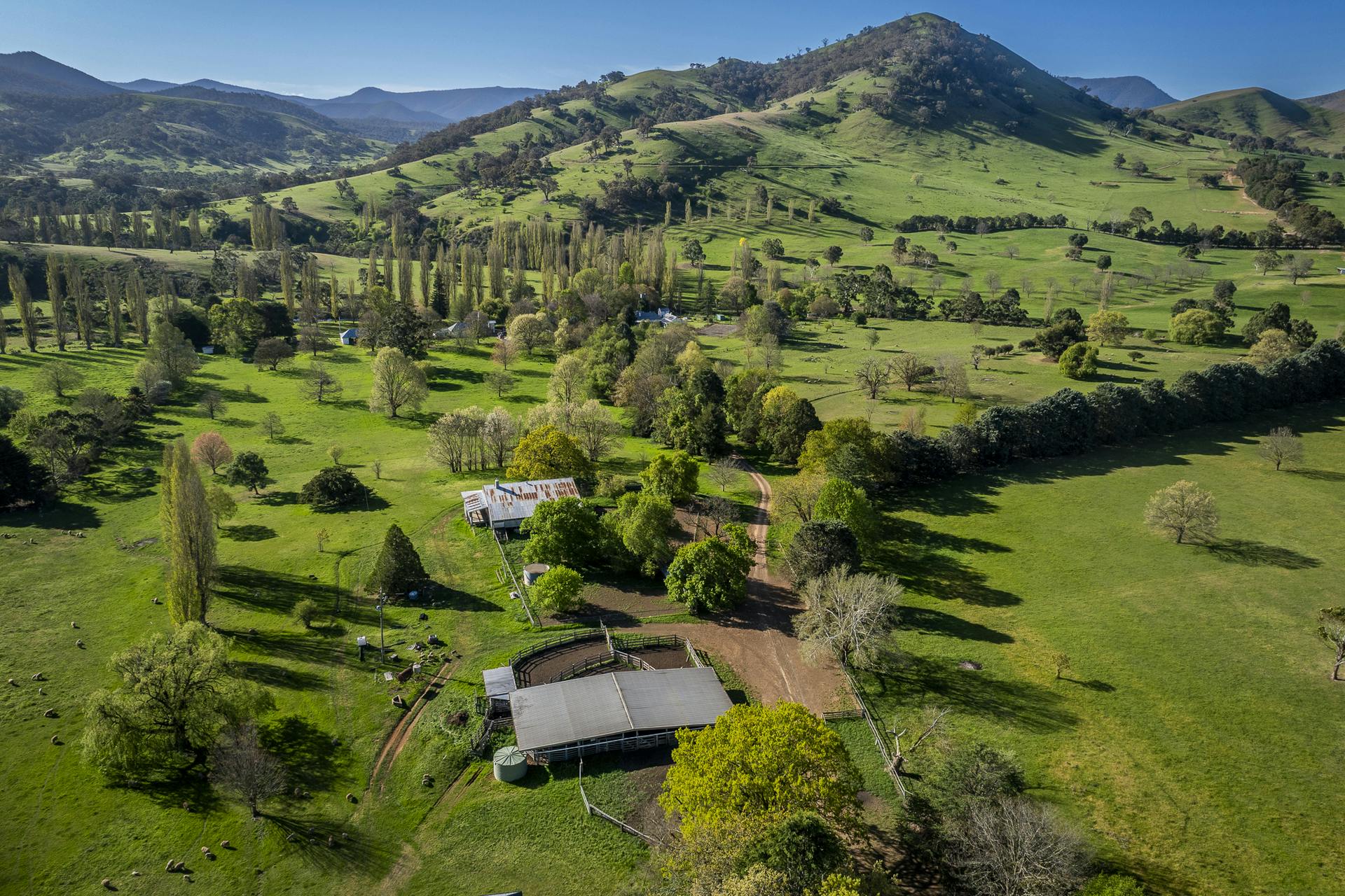 1578 Bindi Road, Bindi, VIC, 3896