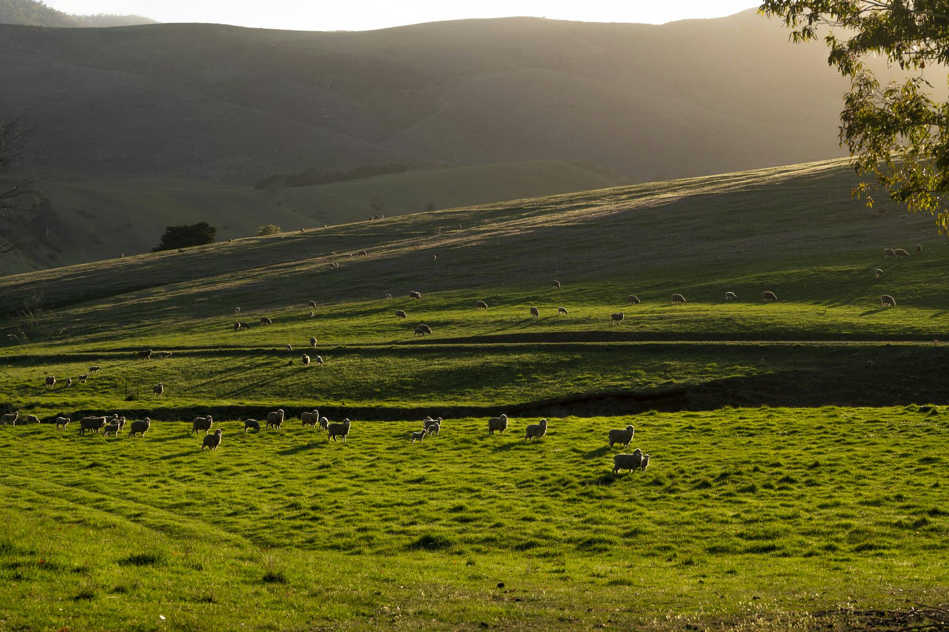 1578 Bindi Road, Bindi, VIC, 3896