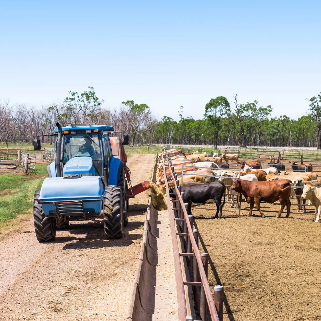 'Ashby' 48 Felton View Road, Ellangowan, QLD 4361