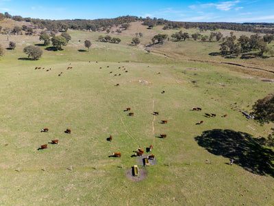 5353 Trunkey Road, Trunkey Creek, NSW, 2795