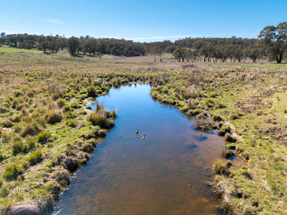 5353 Trunkey Road, Trunkey Creek, NSW, 2795