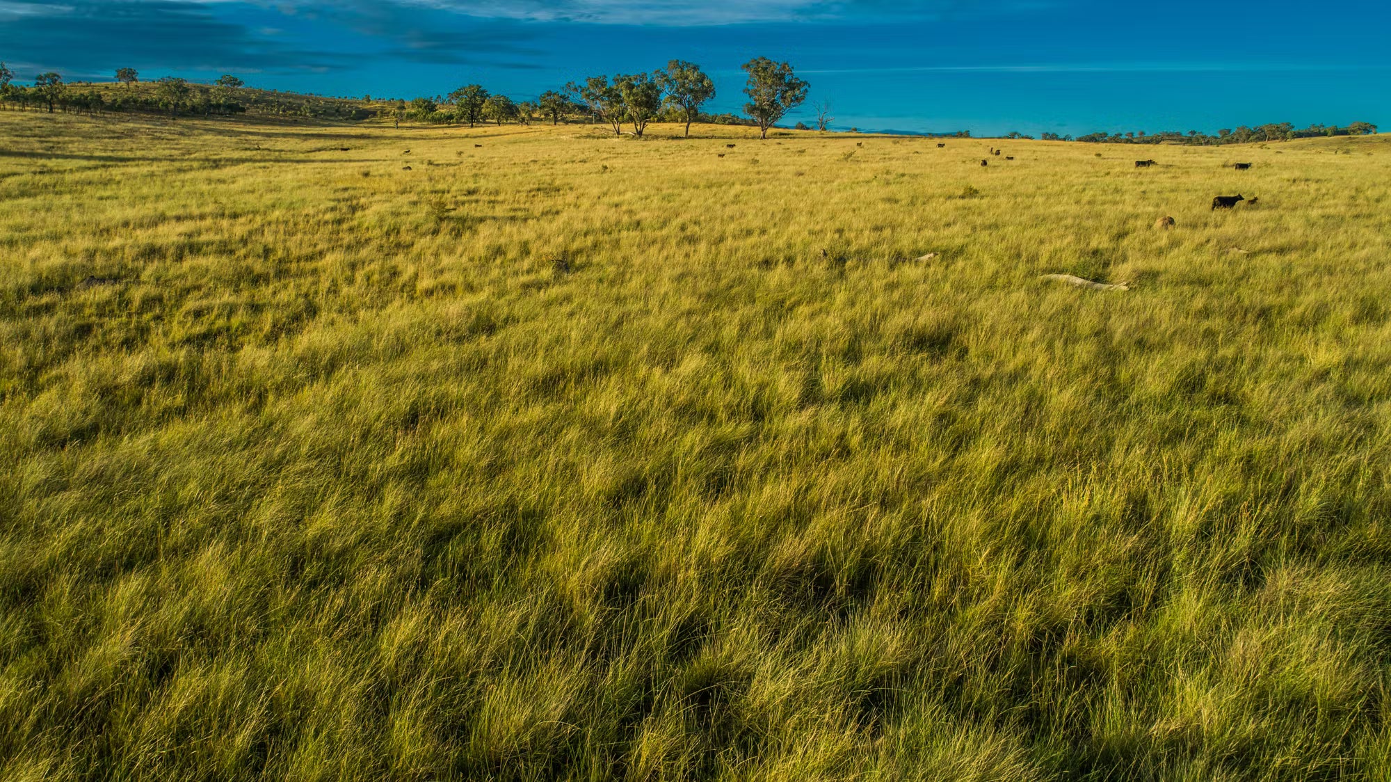 3297 Stanthorpe-Inglewood Road, Inglewood, QLD, 4387