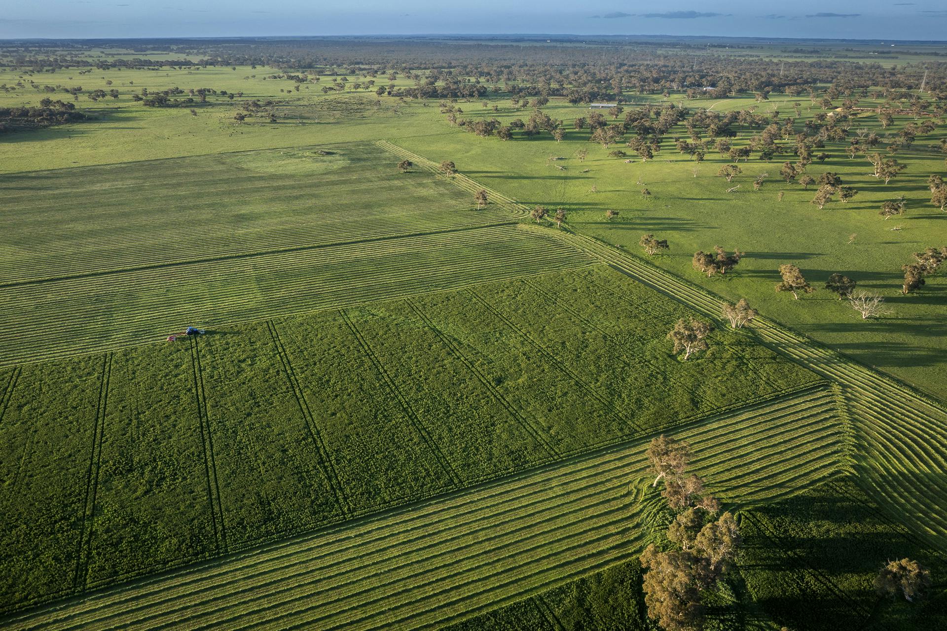 325 Maranoa Downs Road, Stewart Range, SA, 5271