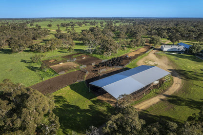 325 Maranoa Downs Road, Stewart Range, SA, 5271