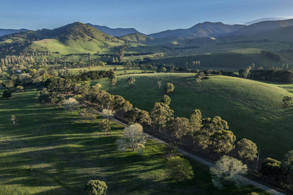 1578 Bindi Road, Bindi, VIC, 3896