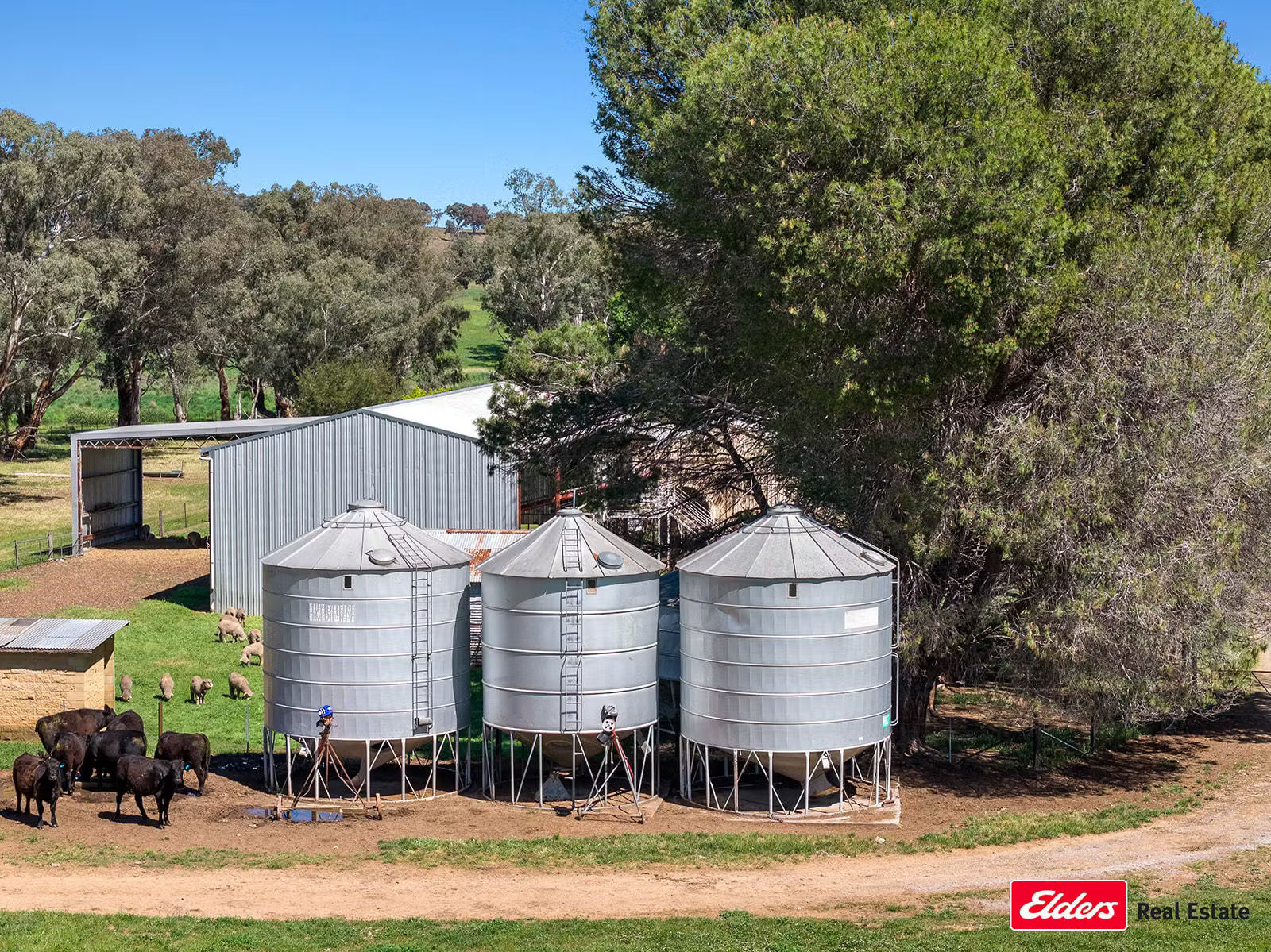 3809 Belubula Way, Canowindra, NSW, 2804