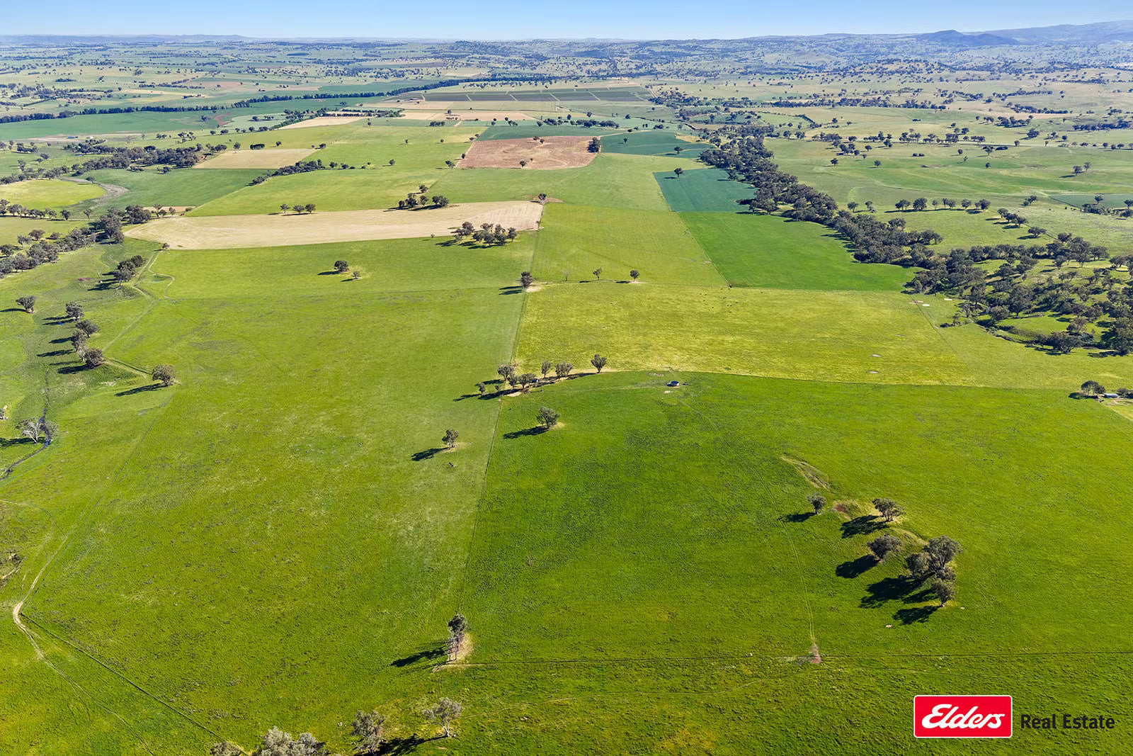 3809 Belubula Way, Canowindra, NSW, 2804