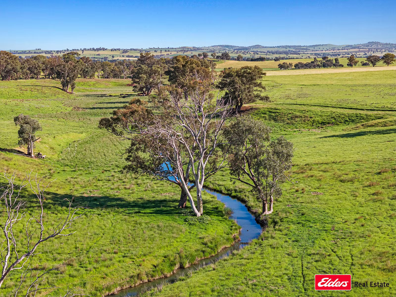 3809 Belubula Way, Canowindra, NSW, 2804