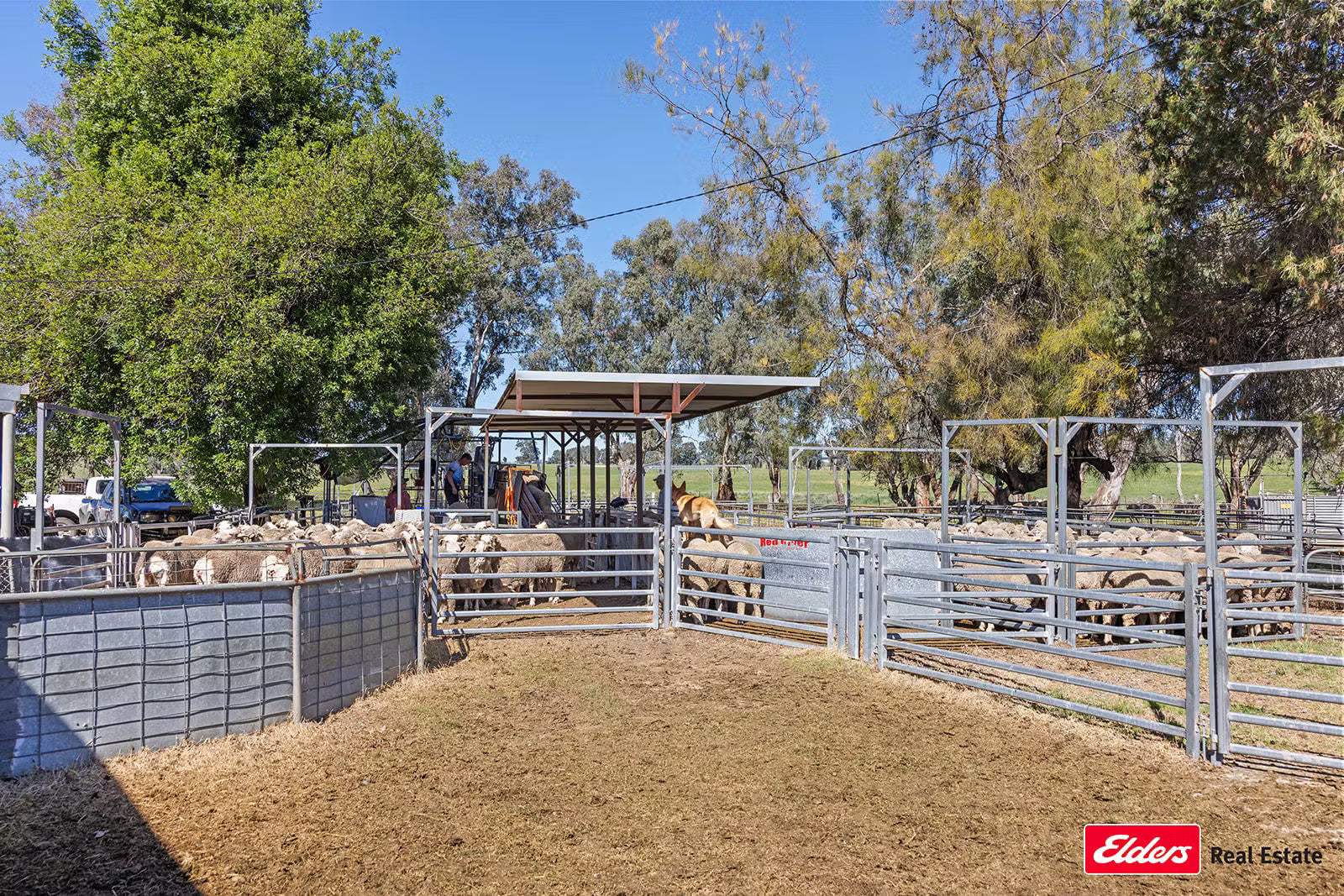 3809 Belubula Way, Canowindra, NSW, 2804