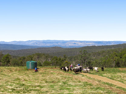 'Bellbird Ridge' Lot 445 Ted Road, Geham, QLD 4352