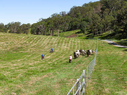 'Bellbird Ridge' Lot 445 Ted Road, Geham, QLD 4352