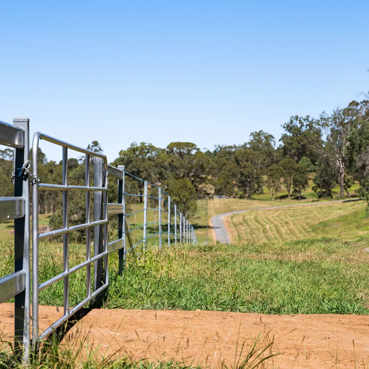 'Bellbird Ridge' Lot 445 Ted Road, Geham, QLD 4352