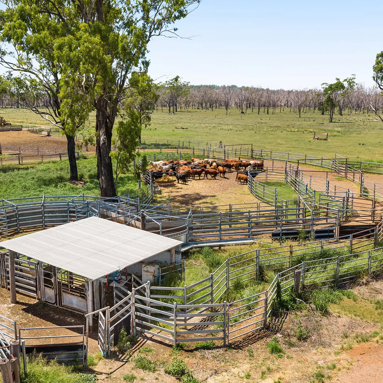'Ashby' 48 Felton View Road, Ellangowan, QLD 4361