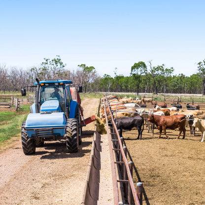'Ashby' 48 Felton View Road, Ellangowan, QLD 4361