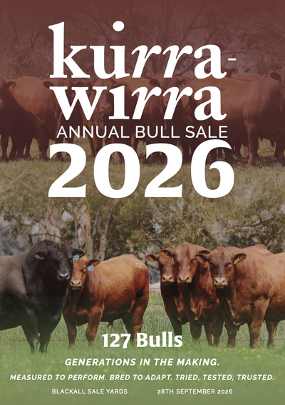 Kurra-Wirra Annual Bull Sale 2026