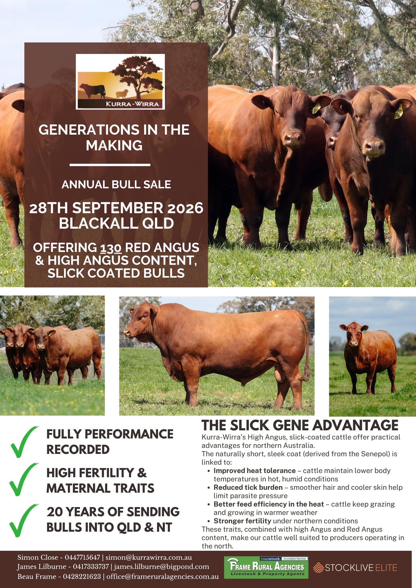 Kurra-Wirra Annual Bull Sale 2026